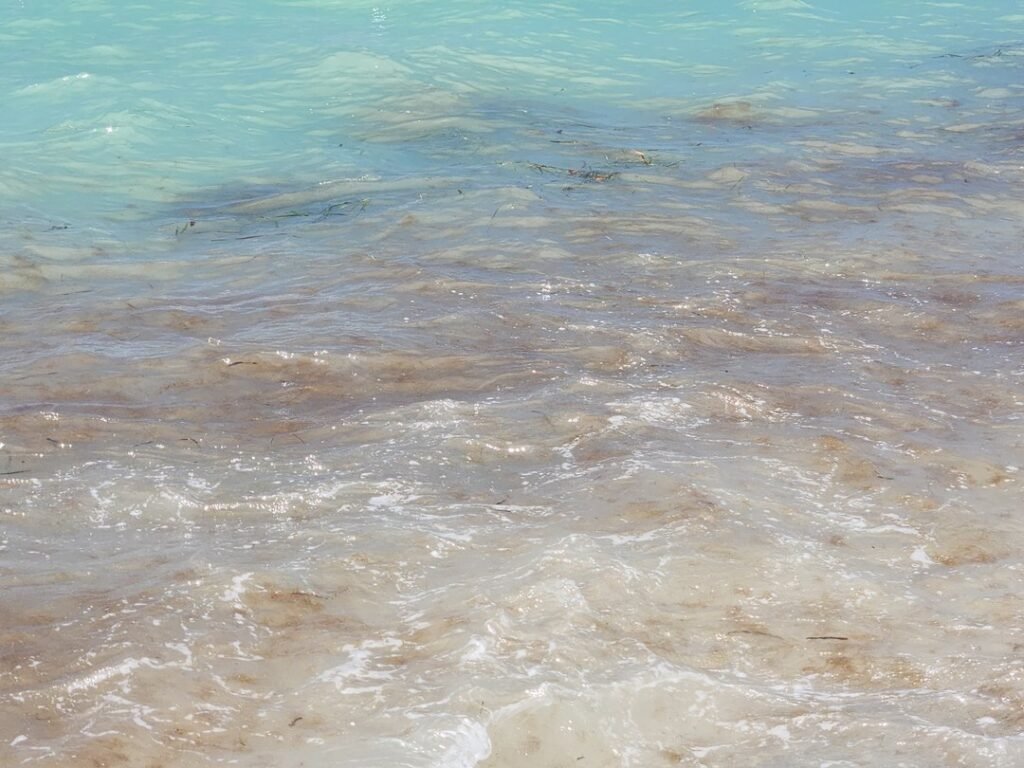 Ocean water as a metaphor for calm abiding